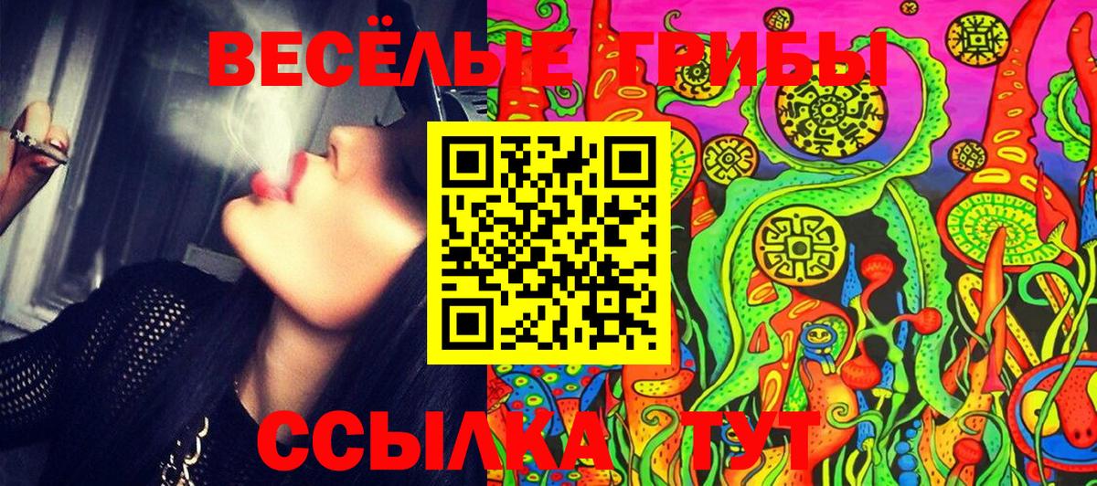 Галлюциногенные грибы Psilocybine cubensis Дзержинский