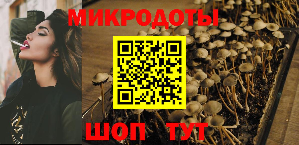 Дзержинский  Галлюциногенные грибы Cubensis  Вход с VPN 